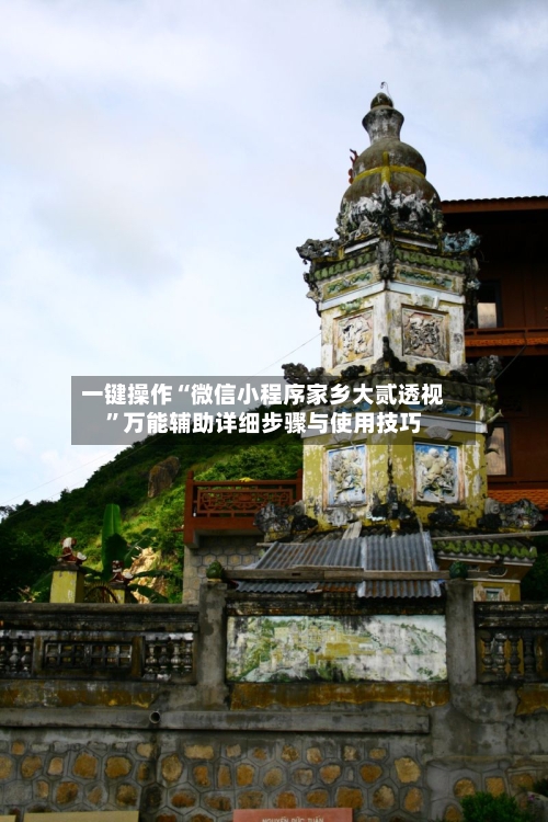 一键操作“微信小程序家乡大贰透视”万能辅助详细步骤与使用技巧-第2张图片