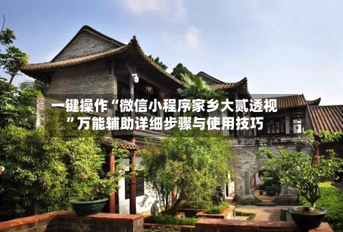 一键操作“微信小程序家乡大贰透视”万能辅助详细步骤与使用技巧-第3张图片
