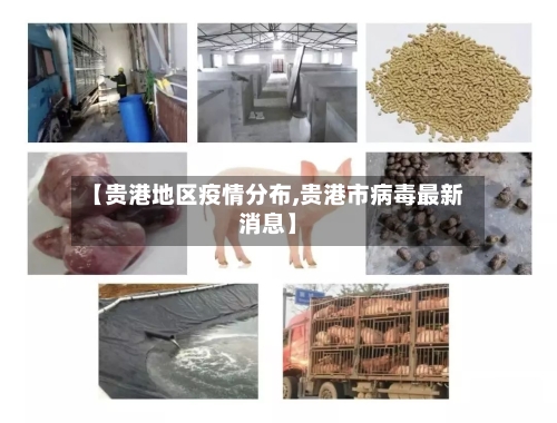 【贵港地区疫情分布,贵港市病毒最新消息】
