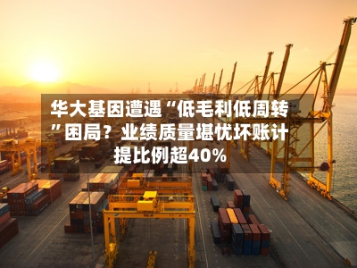 华大基因遭遇“低毛利低周转	”困局？业绩质量堪忧坏账计提比例超40%-第3张图片