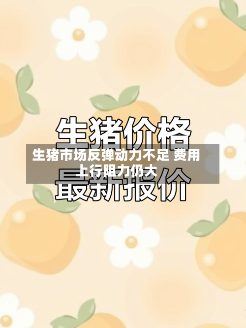 生猪市场反弹动力不足 费用上行阻力仍大-第2张图片