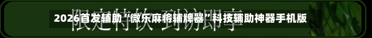 2026首发辅助“微乐麻将辅牌器”科技辅助神器手机版