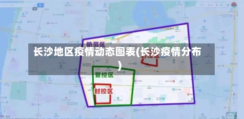 长沙地区疫情动态图表(长沙疫情分布)-第2张图片