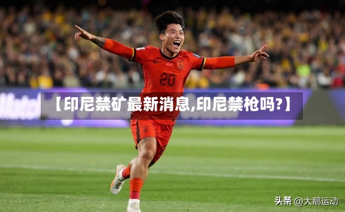 【印尼禁矿最新消息,印尼禁枪吗?】