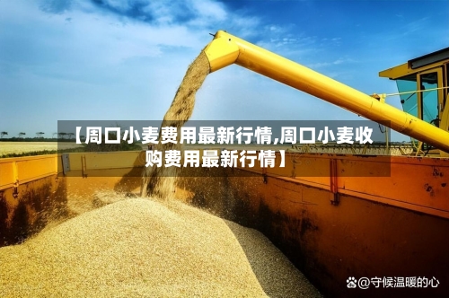 【周口小麦费用最新行情,周口小麦收购费用最新行情】-第2张图片