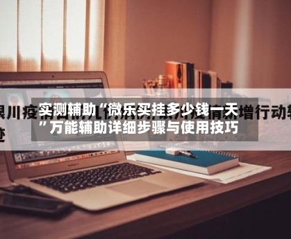 实测辅助“微乐买挂多少钱一天”万能辅助详细步骤与使用技巧-第2张图片