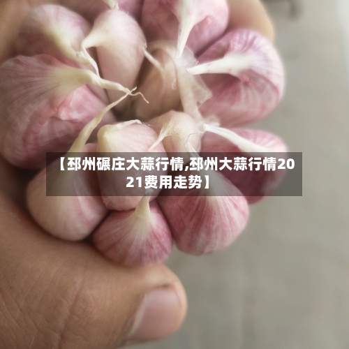 【邳州碾庄大蒜行情,邳州大蒜行情2021费用走势】