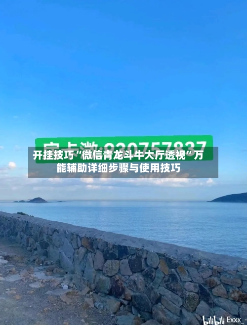 开挂技巧“微信青龙斗牛大厅透视”万能辅助详细步骤与使用技巧-第3张图片