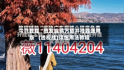 今日教程“微友麻将万能开挂器通用版”(透视挂)详细用法教程-第2张图片