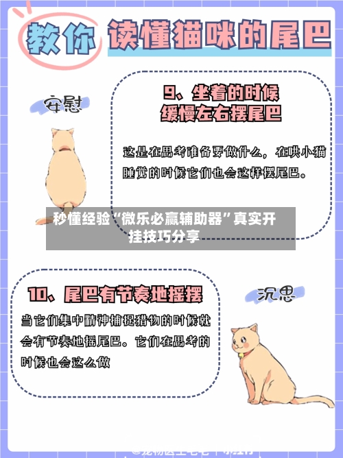秒懂经验“微乐必赢辅助器”真实开挂技巧分享-第3张图片