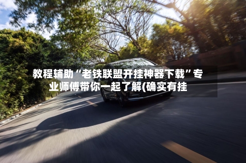 教程辅助“老铁联盟开挂神器下载”专业师傅带你一起了解(确实有挂-第2张图片