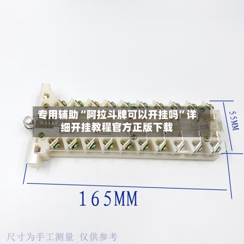 专用辅助“阿拉斗牌可以开挂吗”详细开挂教程官方正版下载-第3张图片