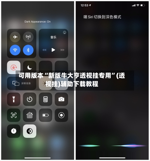 可用版本“新版牛大亨透视挂专用”(透视挂)辅助下载教程-第2张图片