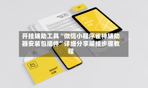 开挂辅助工具“微信小程序雀神辅助器安装包插件”详细分享装挂步骤教程-第3张图片