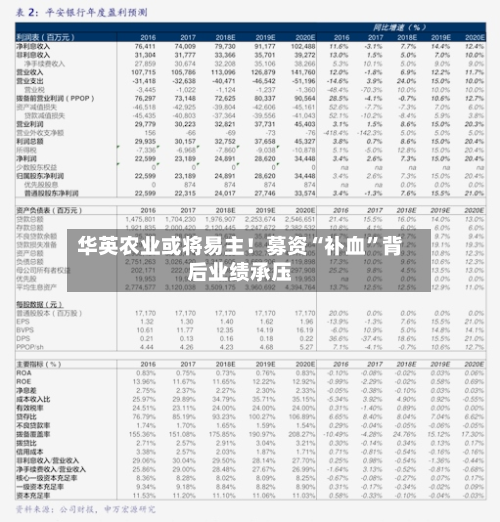 华英农业或将易主！募资“补血	”背后业绩承压-第2张图片