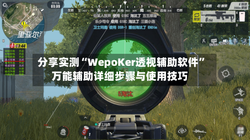 分享实测“WepoKer透视辅助软件”万能辅助详细步骤与使用技巧-第2张图片