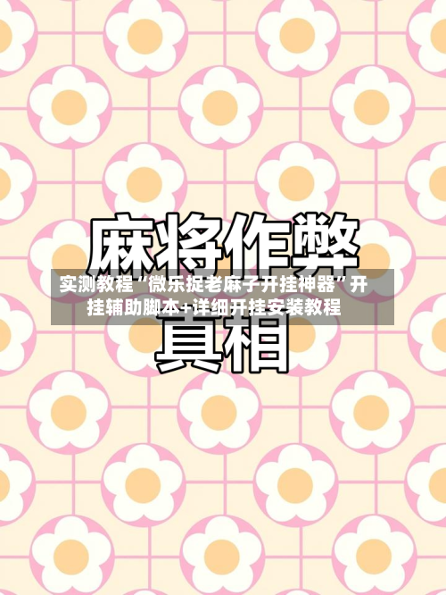 实测教程“微乐捉老麻子开挂神器”开挂辅助脚本+详细开挂安装教程