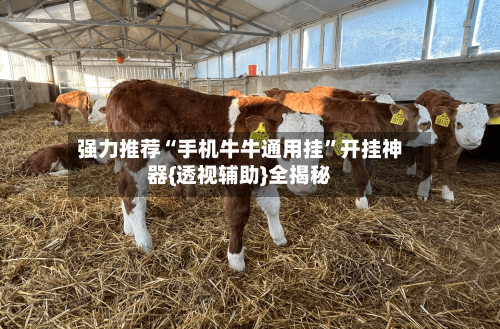 强力推荐“手机牛牛通用挂”开挂神器{透视辅助}全揭秘-第2张图片