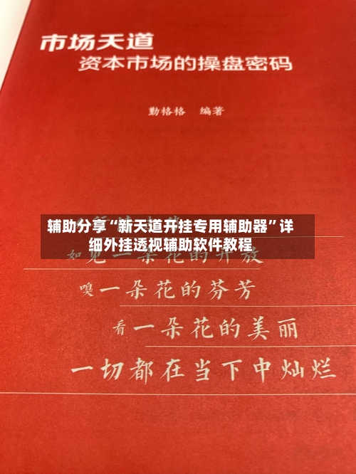 辅助分享“新天道开挂专用辅助器”详细外挂透视辅助软件教程