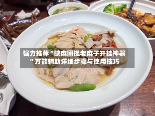 强力推荐“陕麻圈捉老麻子开挂神器”万能辅助详细步骤与使用技巧