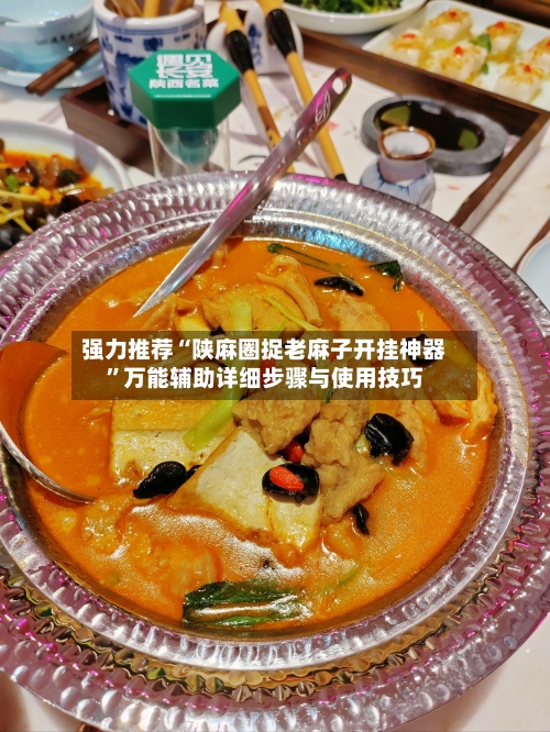 强力推荐“陕麻圈捉老麻子开挂神器”万能辅助详细步骤与使用技巧-第2张图片