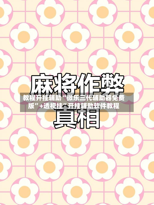 教程开挂辅助“微乐三代辅助器免费版	”+透视挂”开挂辅助软件教程-第3张图片