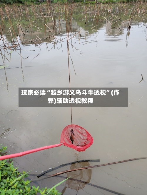 玩家必读“越乡游义乌斗牛透视	”(作弊)辅助透视教程-第3张图片