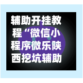 辅助开挂教程“微信小程序微乐陕西挖坑辅助器”(辅助神器)开挂详细教程