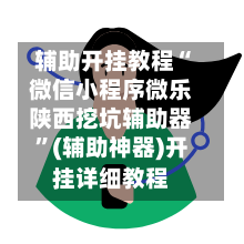辅助开挂教程“微信小程序微乐陕西挖坑辅助器”(辅助神器)开挂详细教程-第2张图片