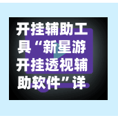 开挂辅助工具“新星游开挂透视辅助软件”详细开挂教程官方正版下载