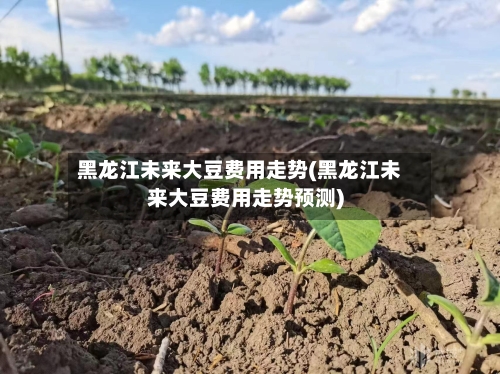 黑龙江未来大豆费用走势(黑龙江未来大豆费用走势预测)