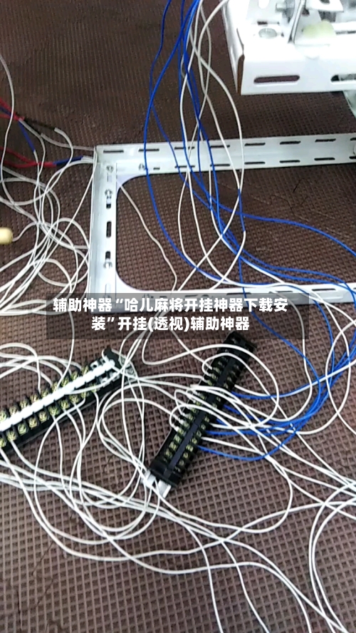 辅助神器“哈儿麻将开挂神器下载安装”开挂(透视)辅助神器