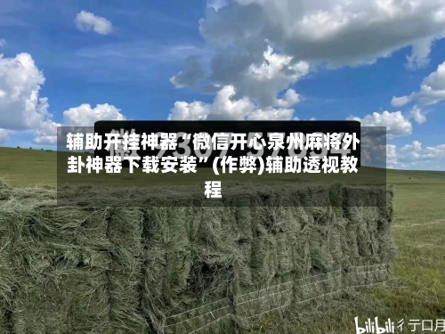辅助开挂神器“微信开心泉州麻将外卦神器下载安装”(作弊)辅助透视教程-第2张图片