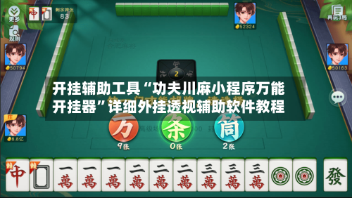 开挂辅助工具“功夫川麻小程序万能开挂器”详细外挂透视辅助软件教程-第3张图片