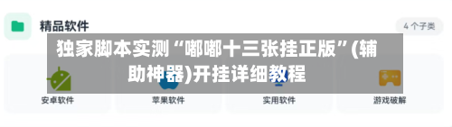 独家脚本实测“嘟嘟十三张挂正版	”(辅助神器)开挂详细教程-第2张图片
