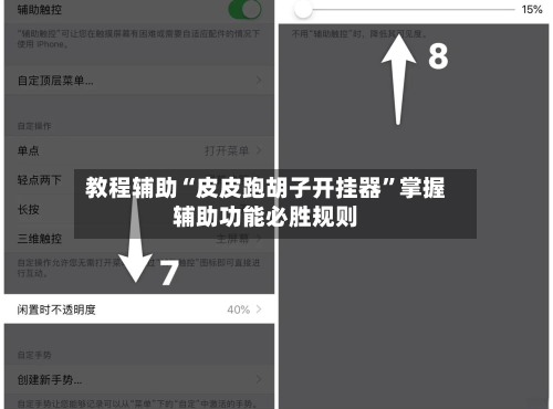 教程辅助“皮皮跑胡子开挂器”掌握辅助功能必胜规则