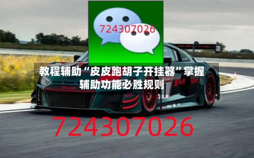 教程辅助“皮皮跑胡子开挂器”掌握辅助功能必胜规则-第2张图片