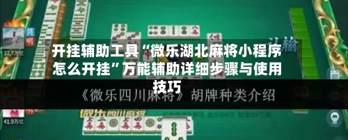 开挂辅助工具“微乐湖北麻将小程序怎么开挂”万能辅助详细步骤与使用技巧-第2张图片