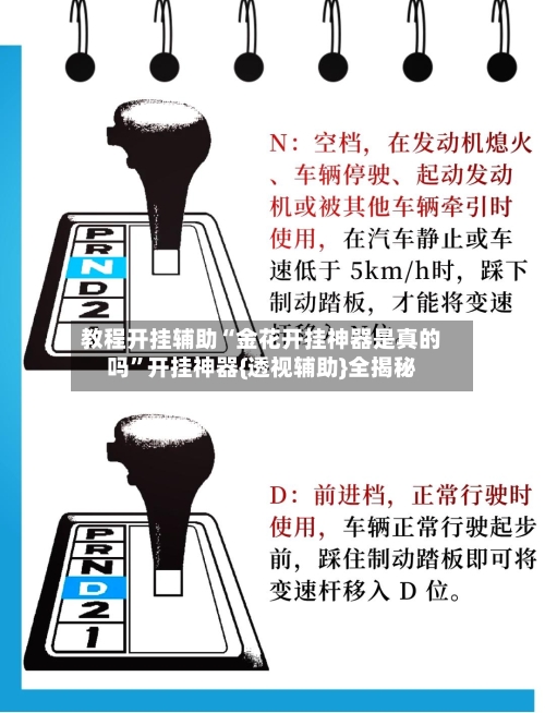 教程开挂辅助“金花开挂神器是真的吗”开挂神器{透视辅助}全揭秘-第2张图片