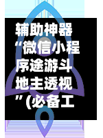 辅助神器“微信小程序途游斗地主透视”(必备工具)辅助教学