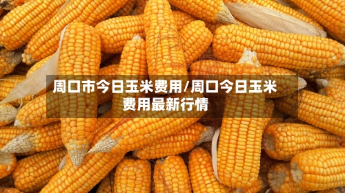 周口市今日玉米费用/周口今日玉米费用最新行情