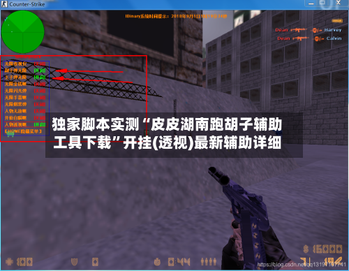 独家脚本实测“皮皮湖南跑胡子辅助工具下载”开挂(透视)最新辅助详细-第3张图片