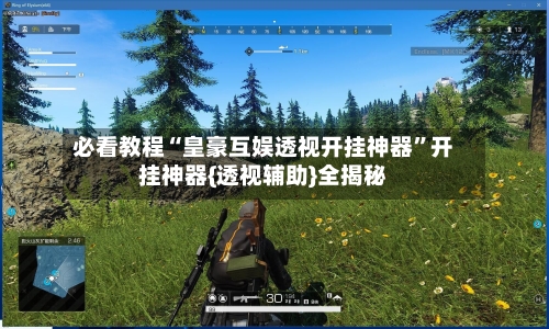 必看教程“皇豪互娱透视开挂神器”开挂神器{透视辅助}全揭秘