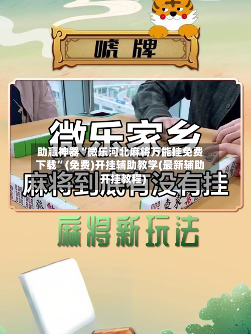 助赢神器“微乐河北麻将万能挂免费下载”(免费)开挂辅助教学(最新辅助开挂教程)-第2张图片