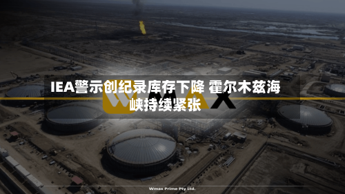 IEA警示创纪录库存下降 霍尔木兹海峡持续紧张