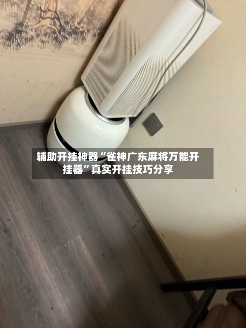 辅助开挂神器“雀神广东麻将万能开挂器”真实开挂技巧分享-第3张图片