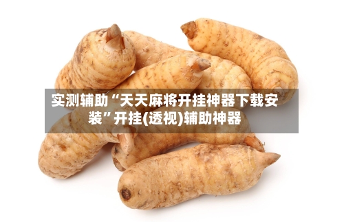 实测辅助“天天麻将开挂神器下载安装”开挂(透视)辅助神器-第3张图片