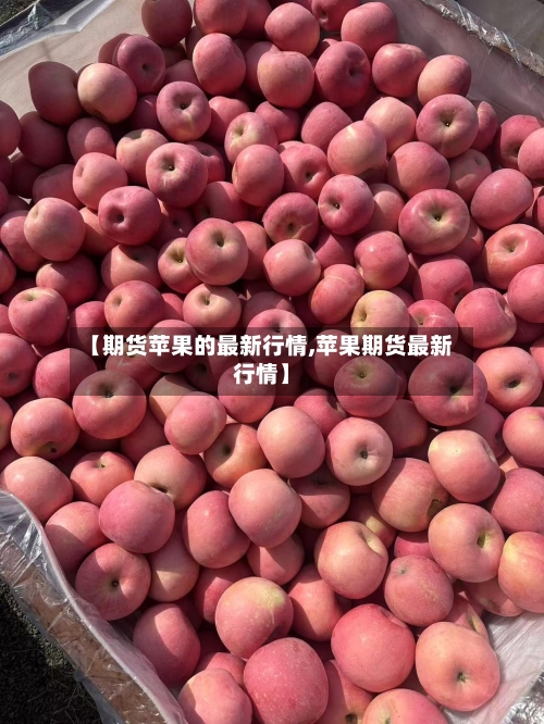 【期货苹果的最新行情,苹果期货最新行情】