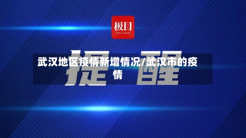 武汉地区疫情新增情况/武汉市的疫情-第2张图片