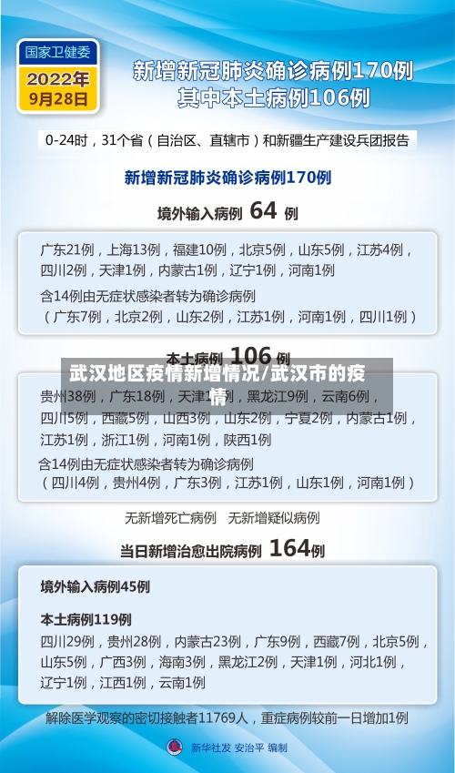 武汉地区疫情新增情况/武汉市的疫情